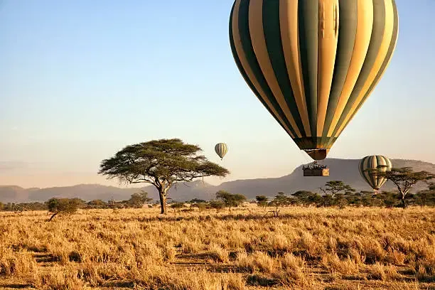 Hot air balloon over Serengeti Tanzania plains at sunrise