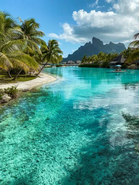 View of Mount Otemanu through turquoise lagoon with palm trees