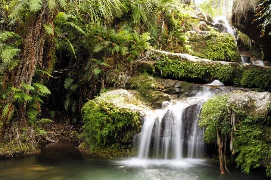 Cascading waterfall over moss-covered rocks in Isalo