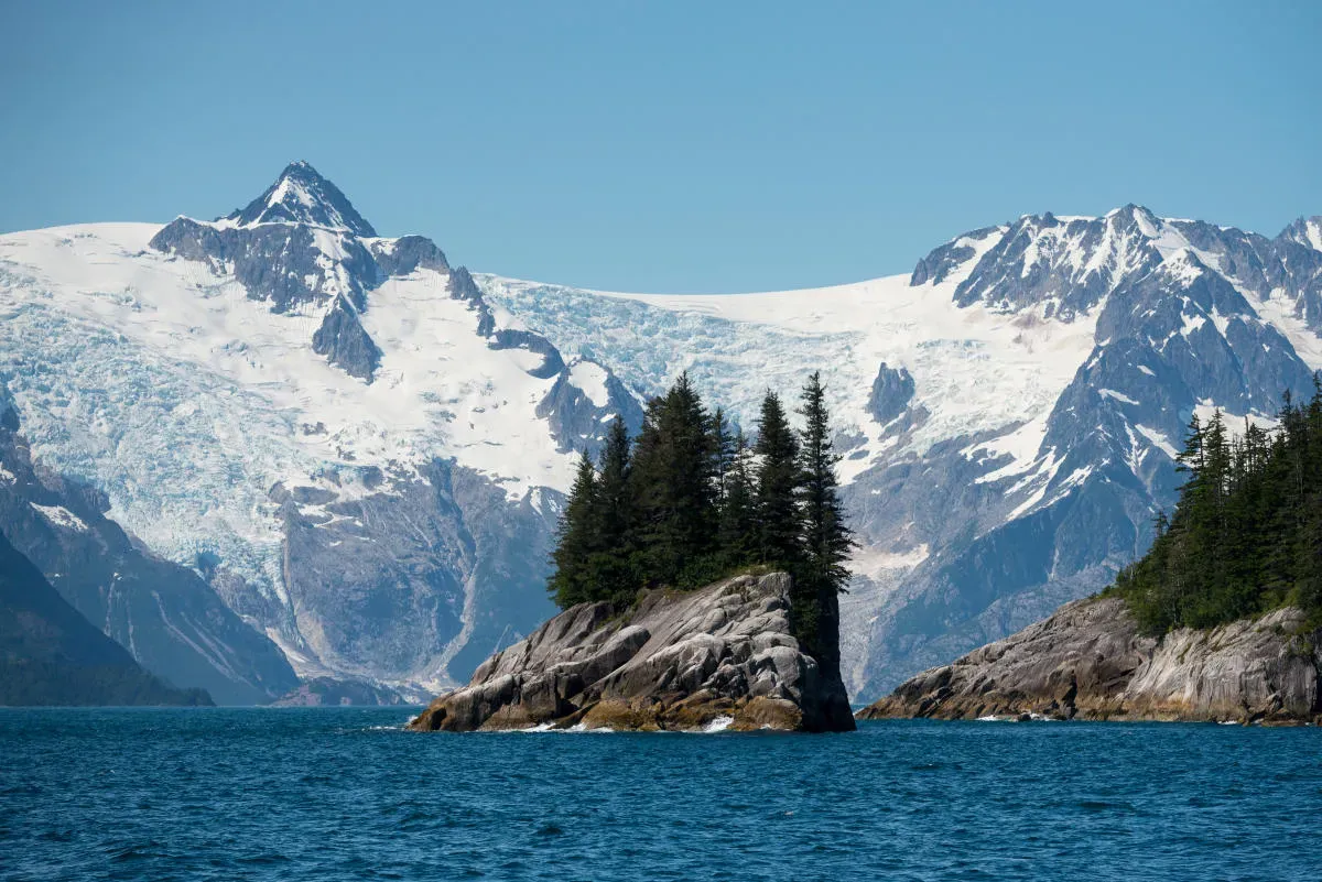 Forested island in calm water in Kenai Fjords Alaska