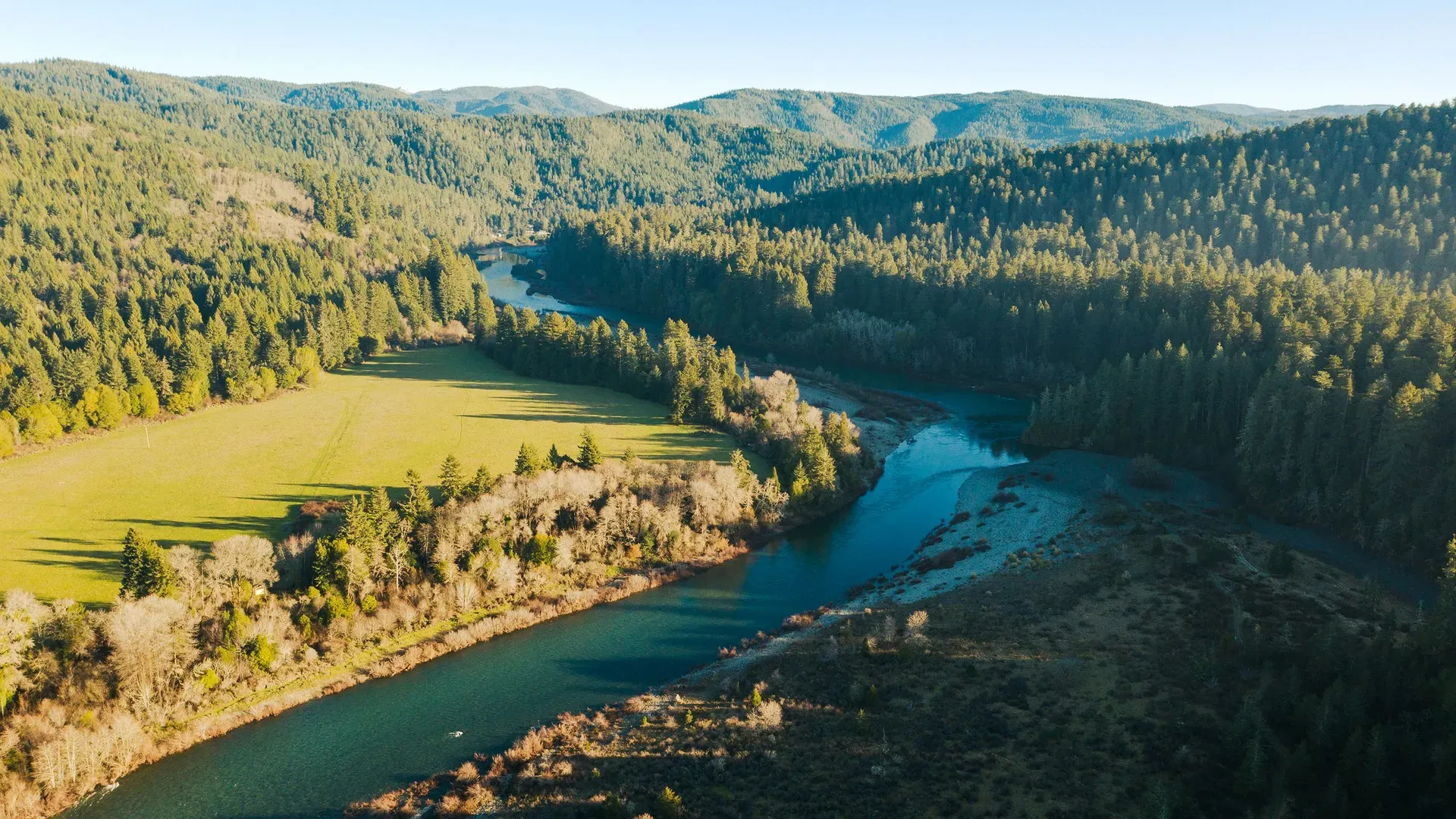 River winding through green valley surrounded by towering redwood trees