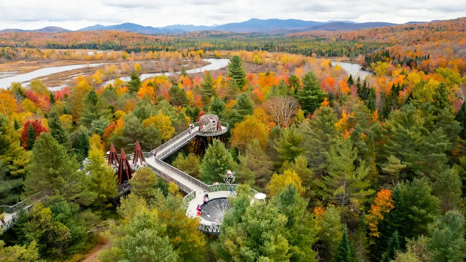 Aerial view of The Wild Center building with autumn foliage and Wild Walk trail