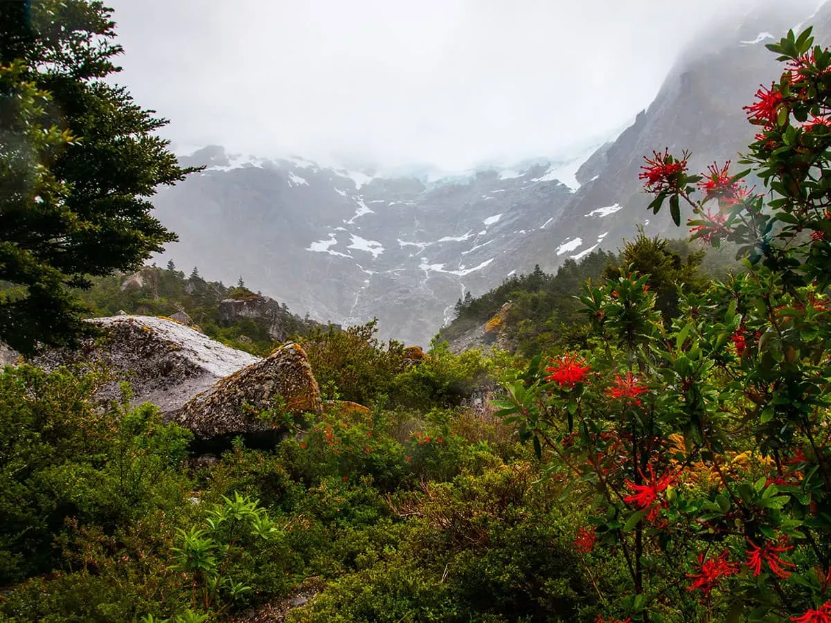 Carretera Austral highway winding through Queulat National Park