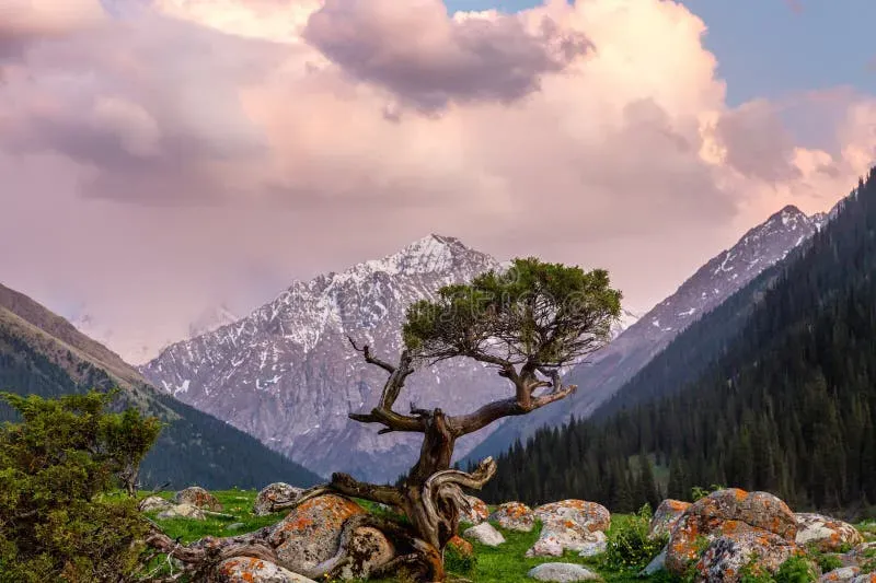 Sunset over Altyn Arashan gorge with mountains