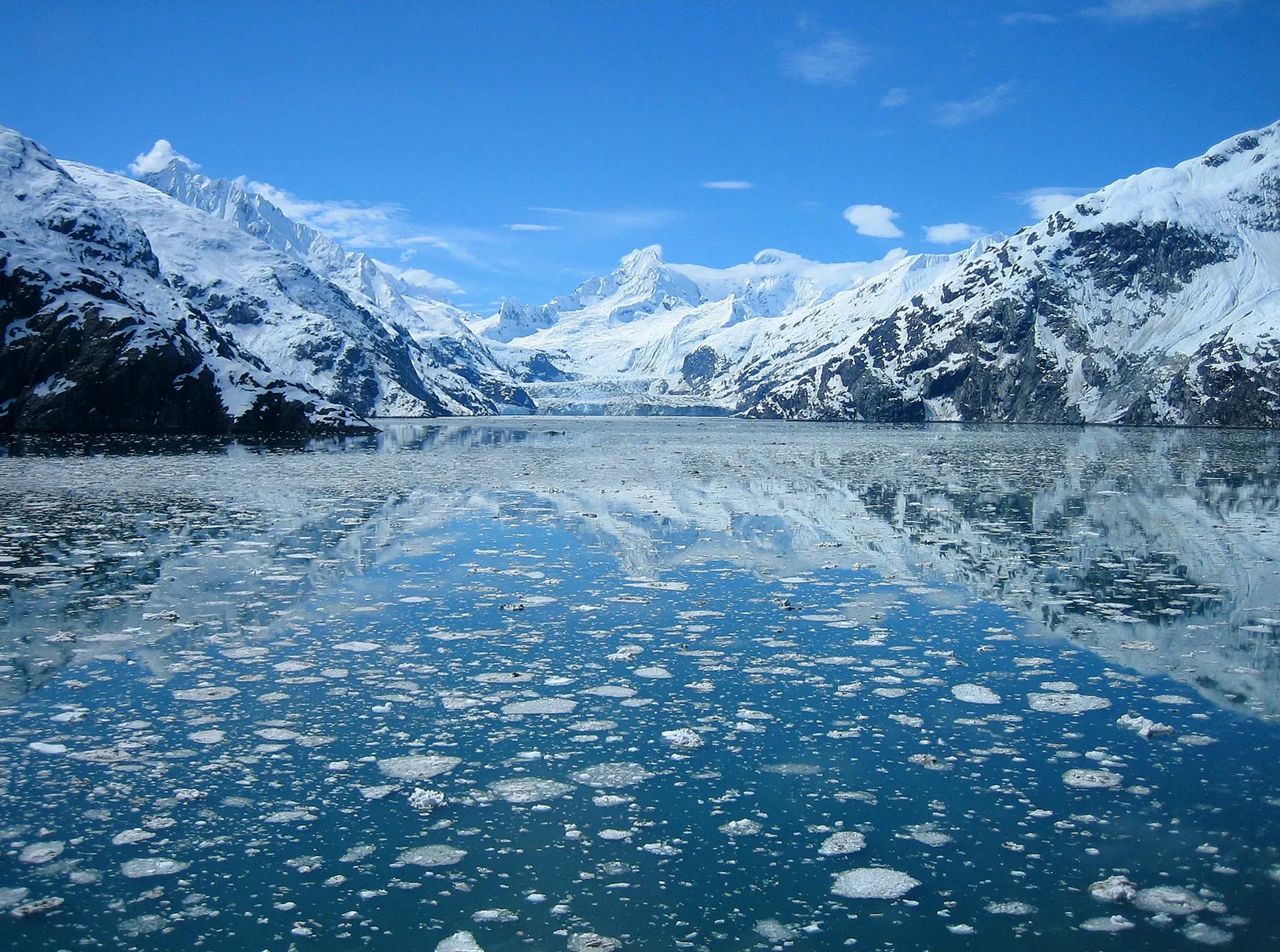 Johns Hopkins Glacier with snow-covered peaks reflected in calm waters
