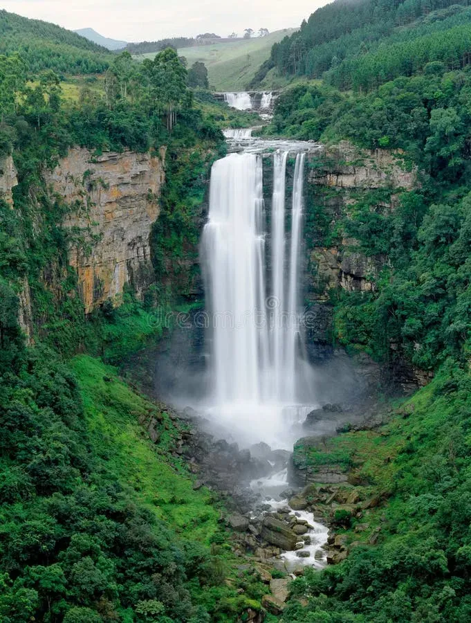 Karkloof Falls dropping over cliffs surrounded by thick indigenous forest