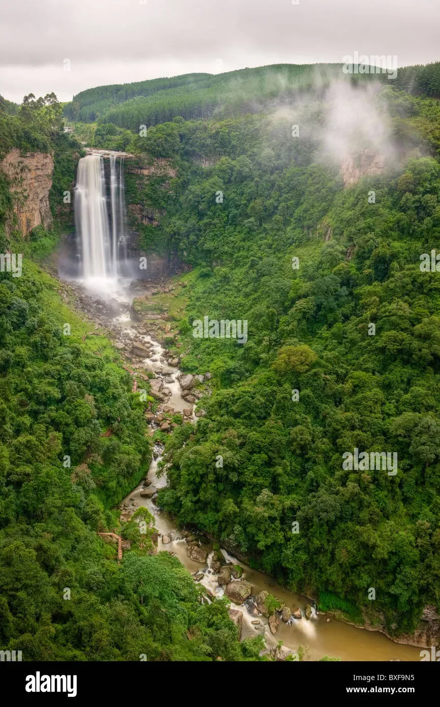 Mist rising from the base of Karkloof Falls against green forest backdrop
