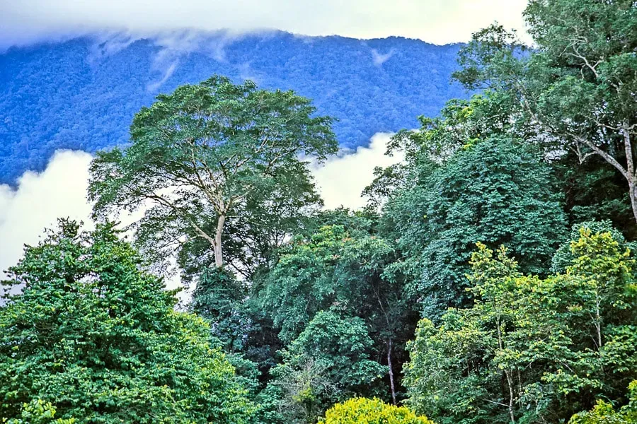 Misty valley with layered mountain ridges