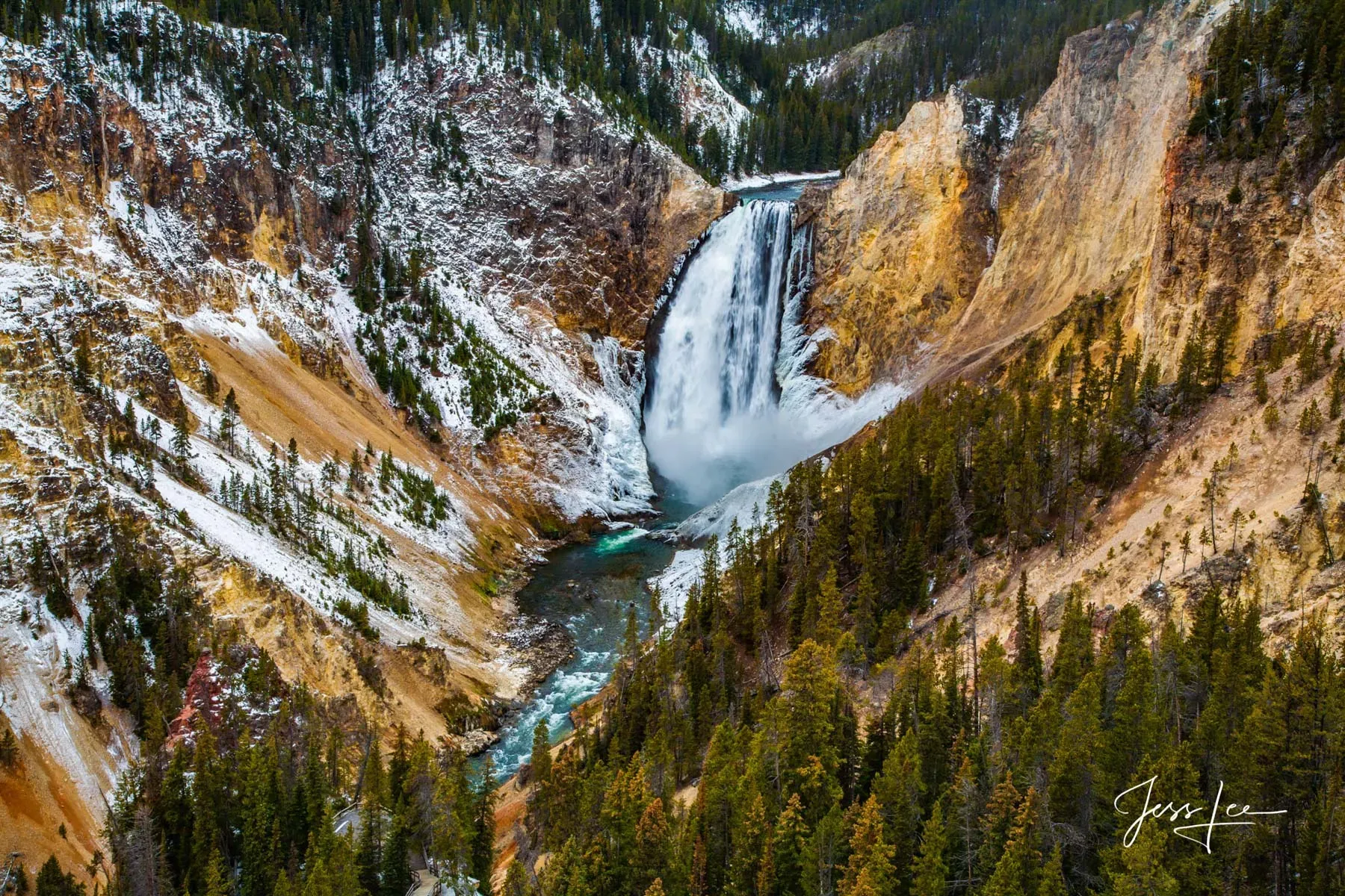 Lower Falls of the Yellowstone River seen from a canyon viewpoint