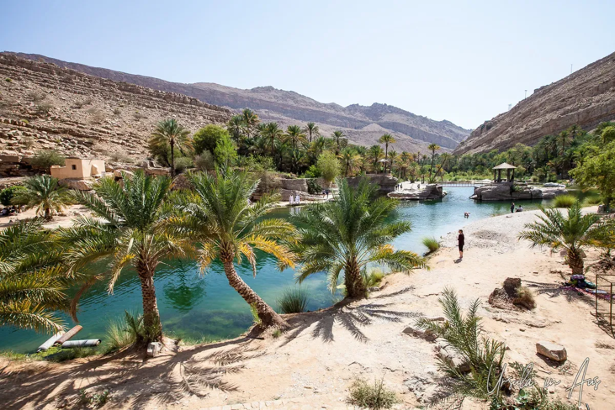 Lush desert oasis with winding turquoise water channel