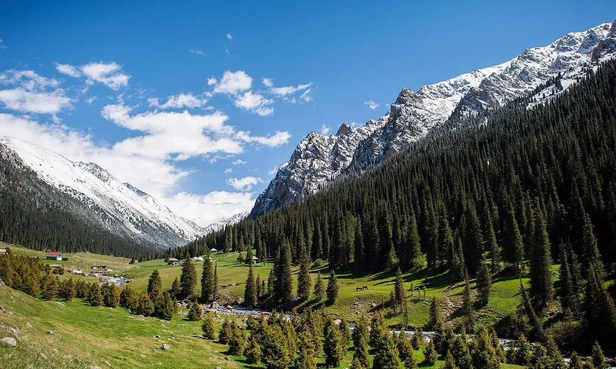 Lush green Altyn Arashan valley with a flowing stream