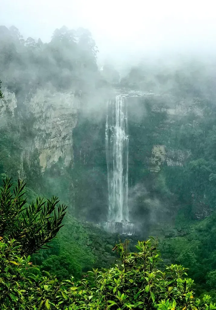 Karkloof Falls partially hidden by morning fog drifting through the forest