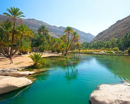 Turquoise swimming pool surrounded by palm trees