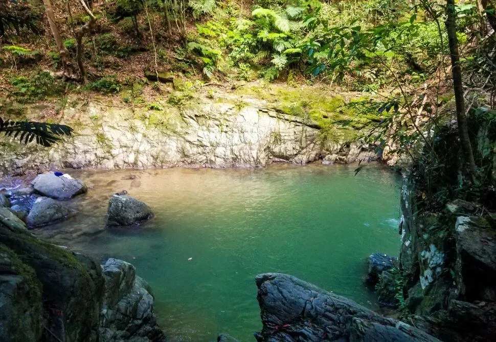 Emerald green plunge pool at base of Taataki Waterfall Japan