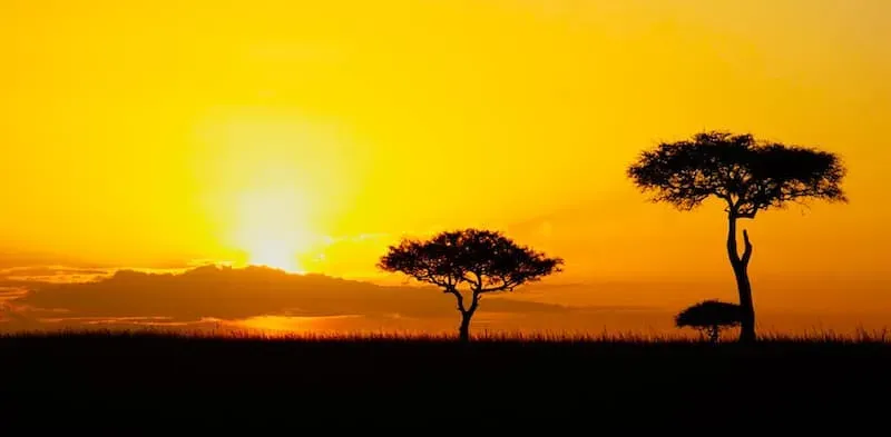 Sunset over the Maasai Mara savanna