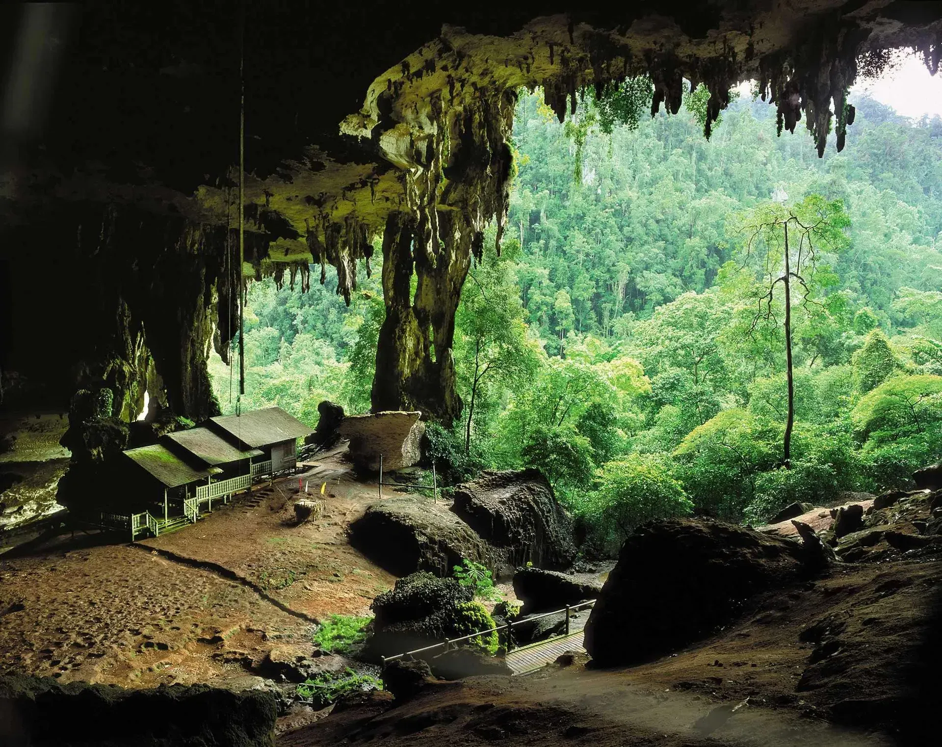 View from inside Niah Caves Malaysia looking out at rainforest