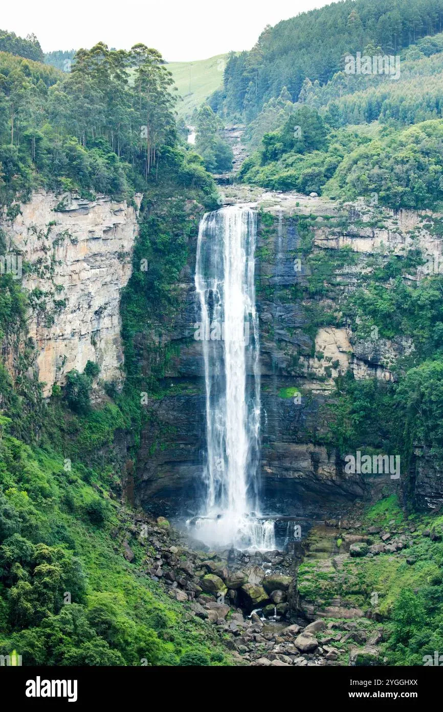 Karkloof Falls plunging 105 meters into a green valley surrounded by forest