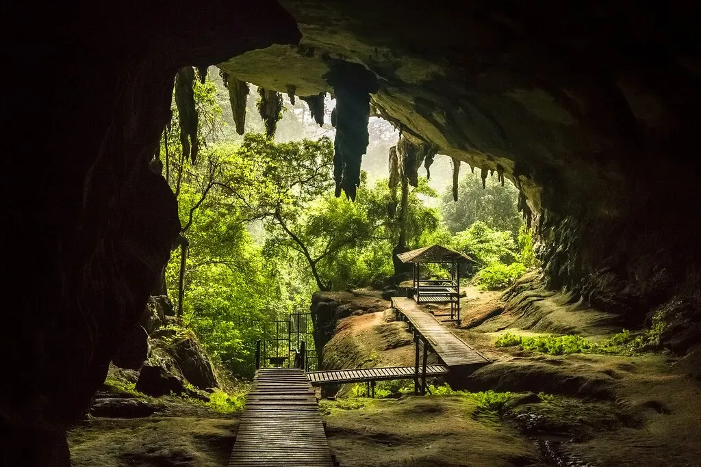 Wooden walkway through lush cave entrance