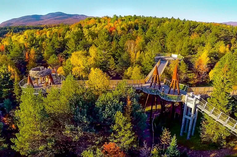 Wooden Wild Walk trail with bridges through autumn trees