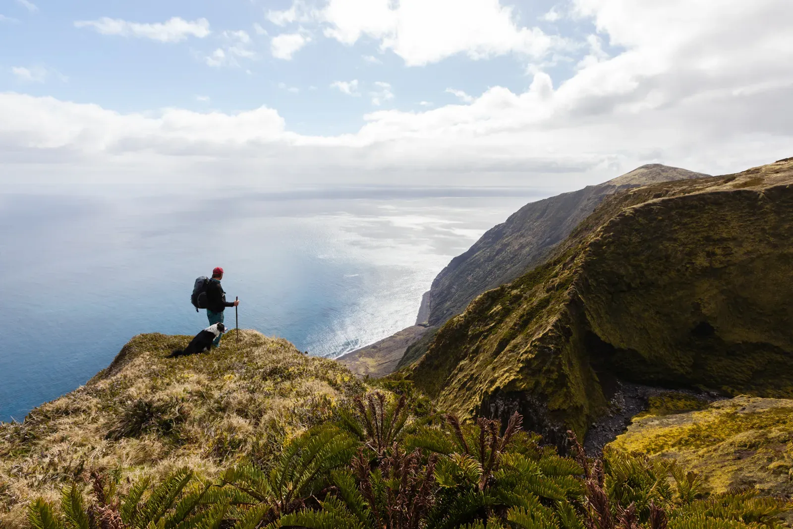 A hiker sitting with a dog on the edge of Queen Mary's Peak summit overlooking the vast South Atlantic Ocean