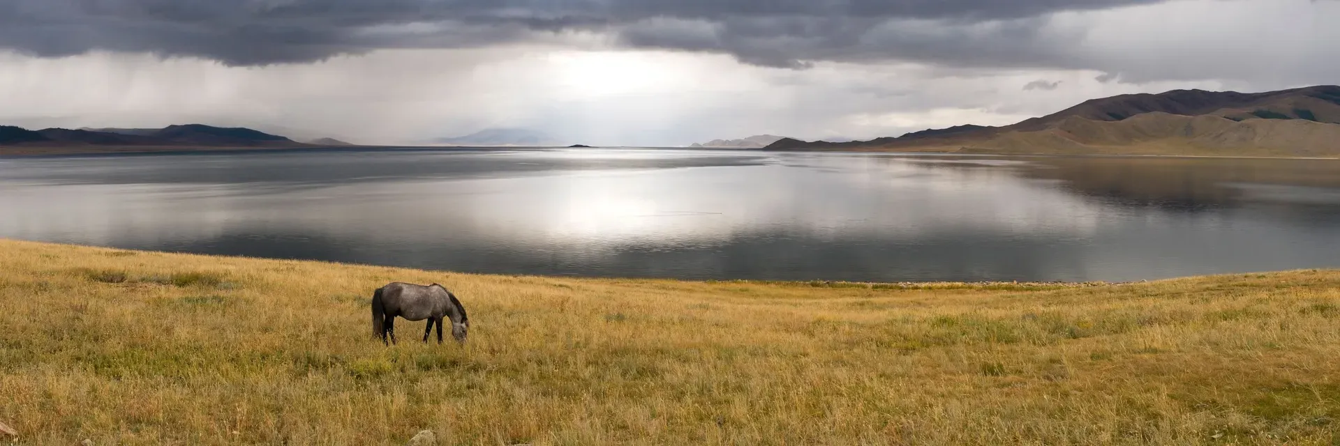 A lone horse grazing on grassy plains near White Lake in Mongolia with dark clouds gathering above distant mountains on the horizon