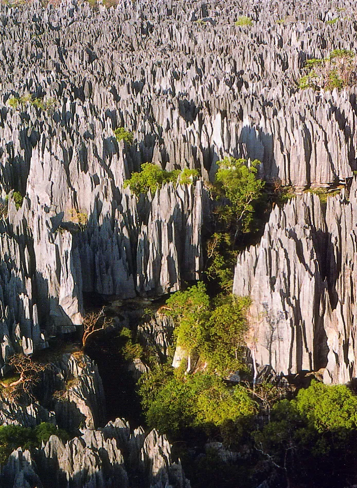 Aerial view of Tsingy de Bemaraha Madagascar limestone karst formations with sharp peaks and green vegetation