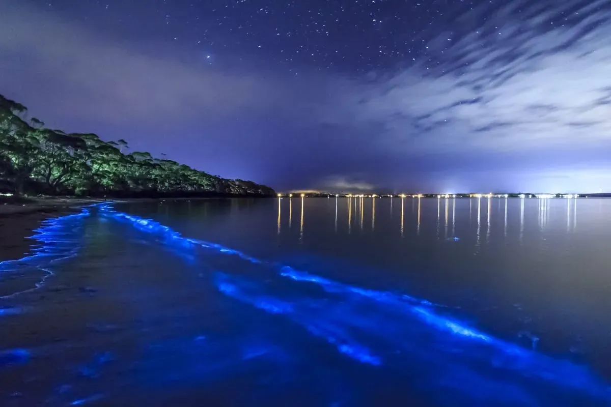 Bioluminescent blue waves glowing along the shoreline at night