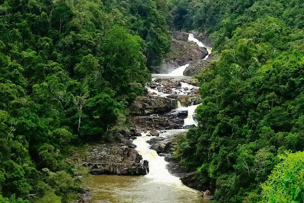 Cascading waterfall surrounded by dense green rainforest foliage in Ranomafana National Park Madagascar