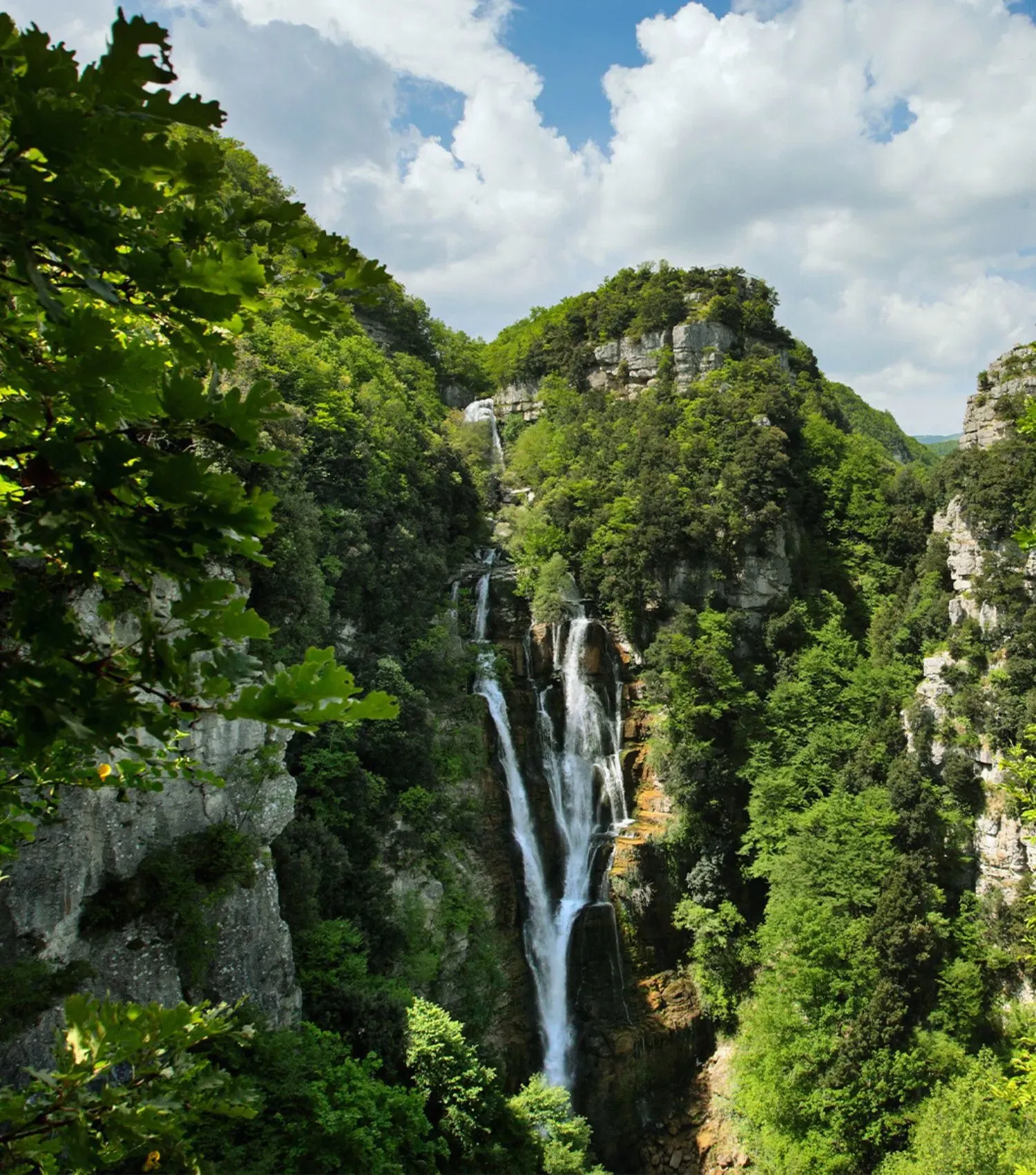 Cascate del Rio Verde visible in the distance through the Apennine forest