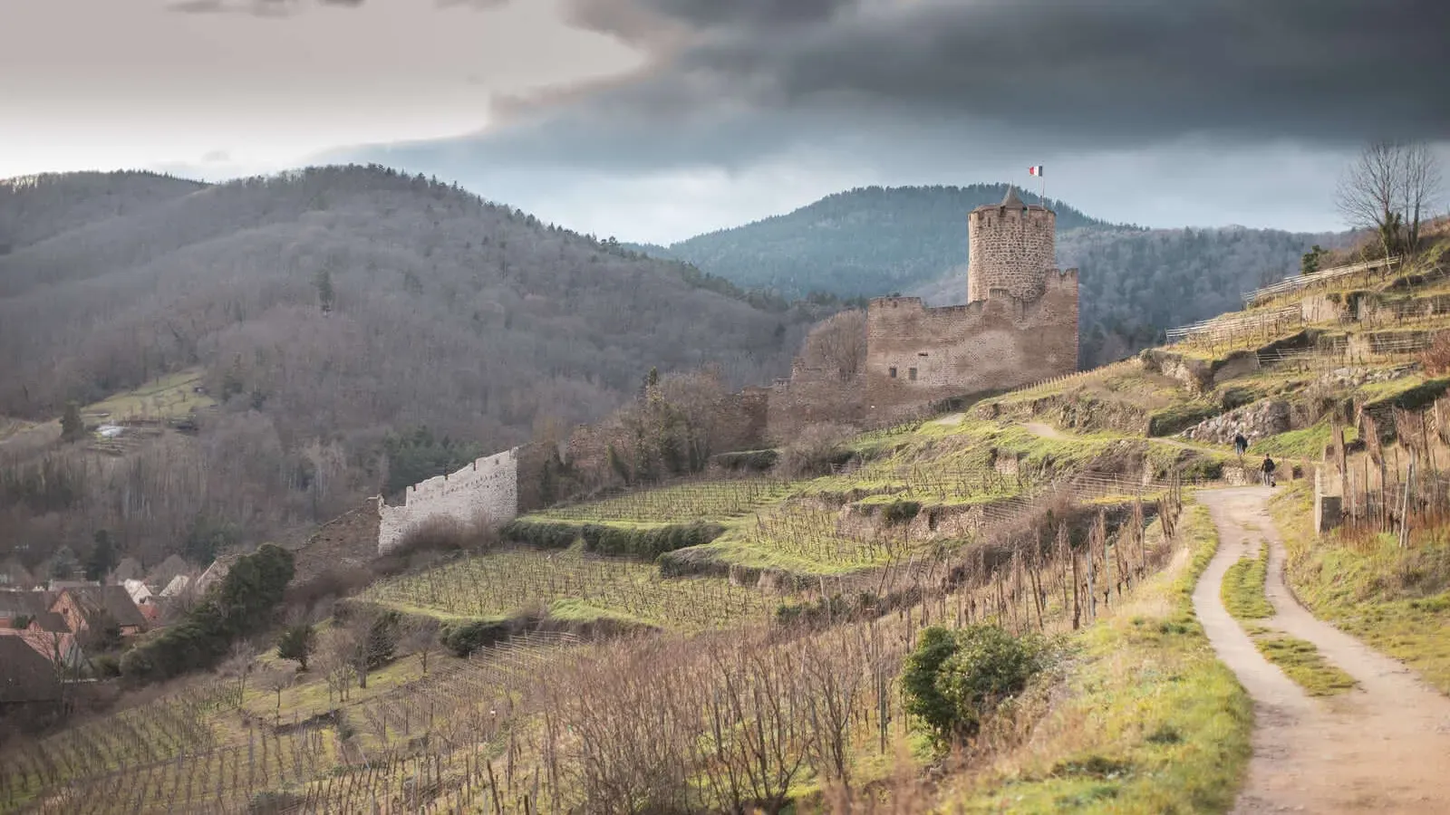 Kaysersberg Castle with French flag flying atop the tower surrounded by terraced vineyards