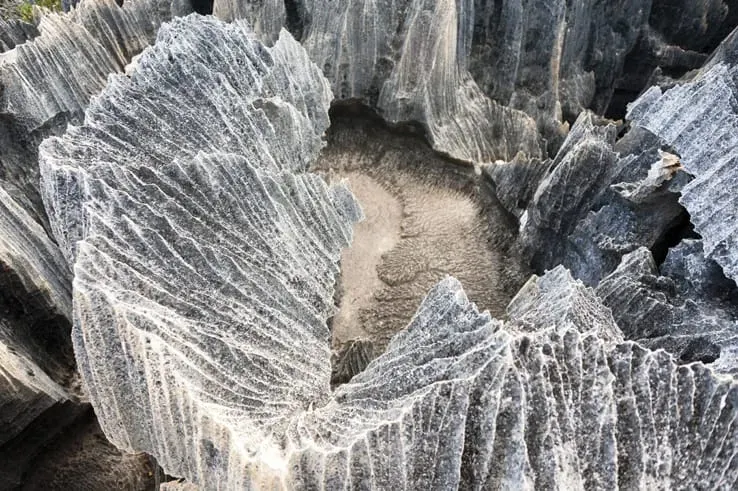 Close-up of razor sharp limestone pinnacles in the Little Tsingy Madagascar