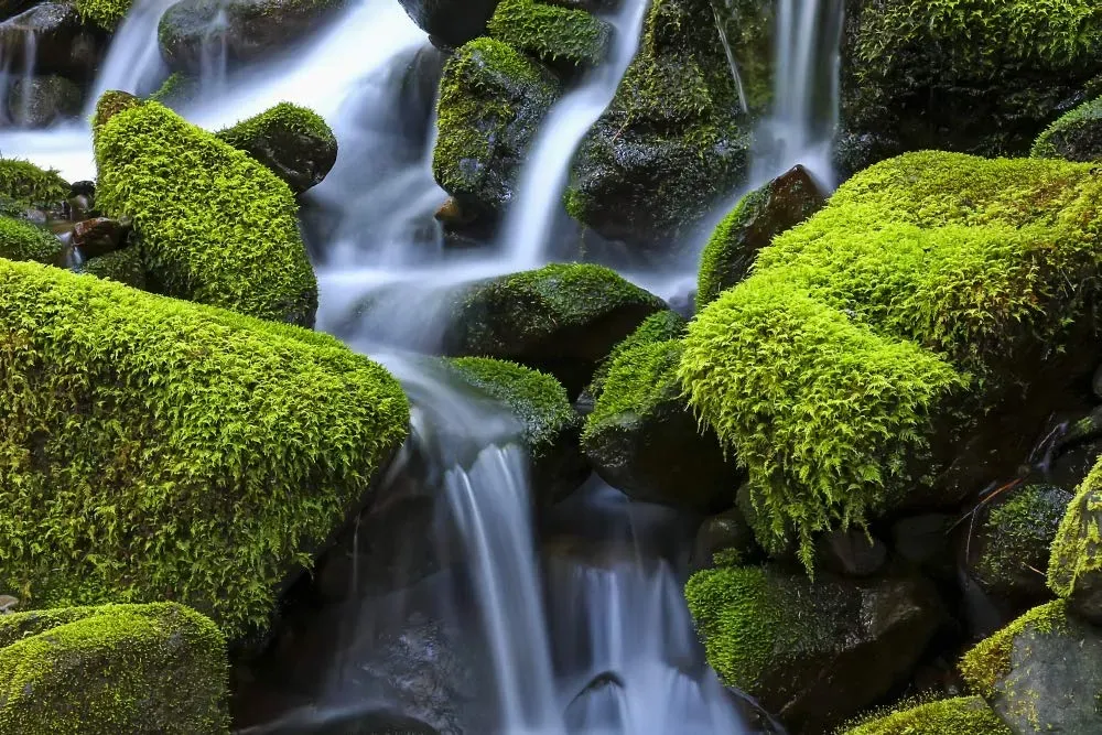 Close-up of Cascate del Rio Verde cascading over moss-covered rocks