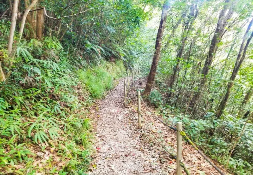 Flat nature trail through dense green forest leading to Hiji Falls