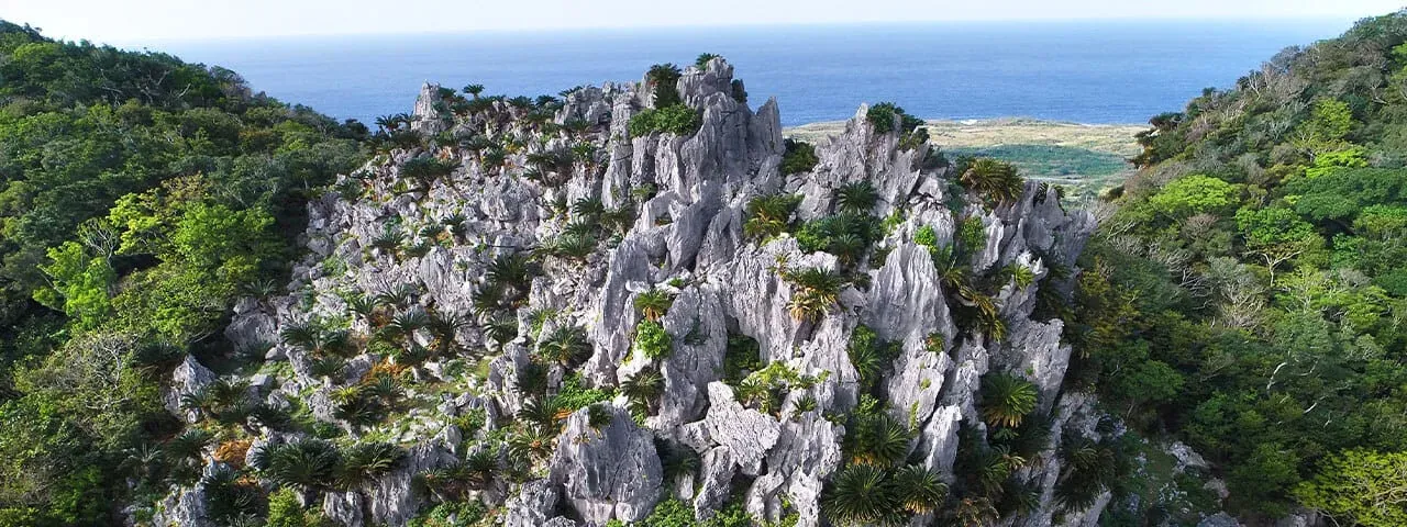 Jagged limestone rock formations known as Daisekirinzan rise from the lush subtropical forest in Yanbaru National Park Okinawa