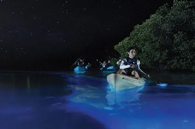 Kayakers paddling through glowing bioluminescent waters under a starry night sky at Mosquito Bay