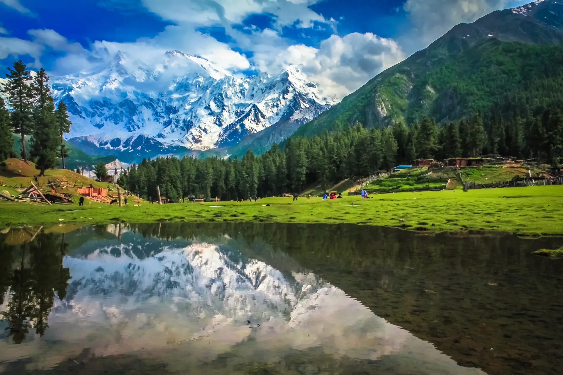 Panoramic view of Fairy Meadows with huts and grazing animals