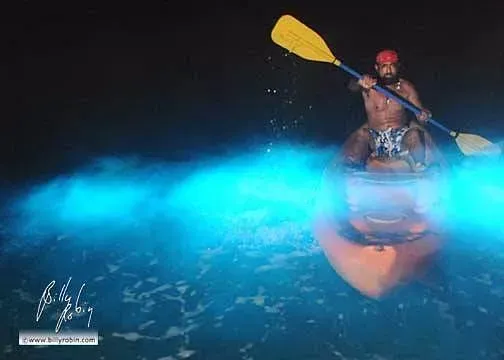 Kayaker creating bright blue light trails while paddling through bioluminescent water