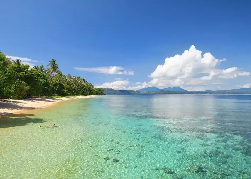 White sand beach with clear turquoise water and palm trees along the shoreline in Bunaken National Park Indonesia