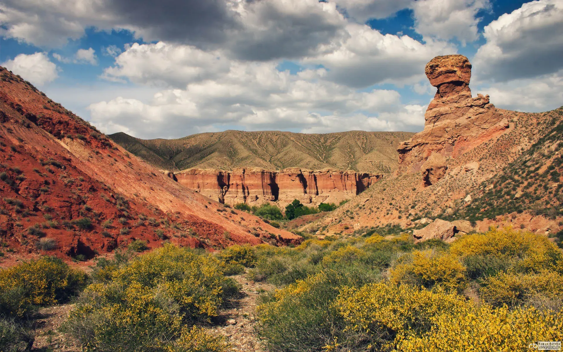 Red and brown rock formations in Charyn Canyon Kazakhstan