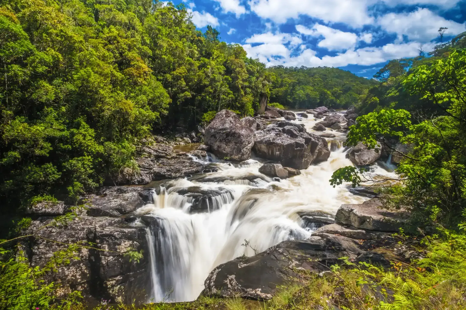 Rushing river flowing over rocks through lush green rainforest in Ranomafana National Park Madagascar