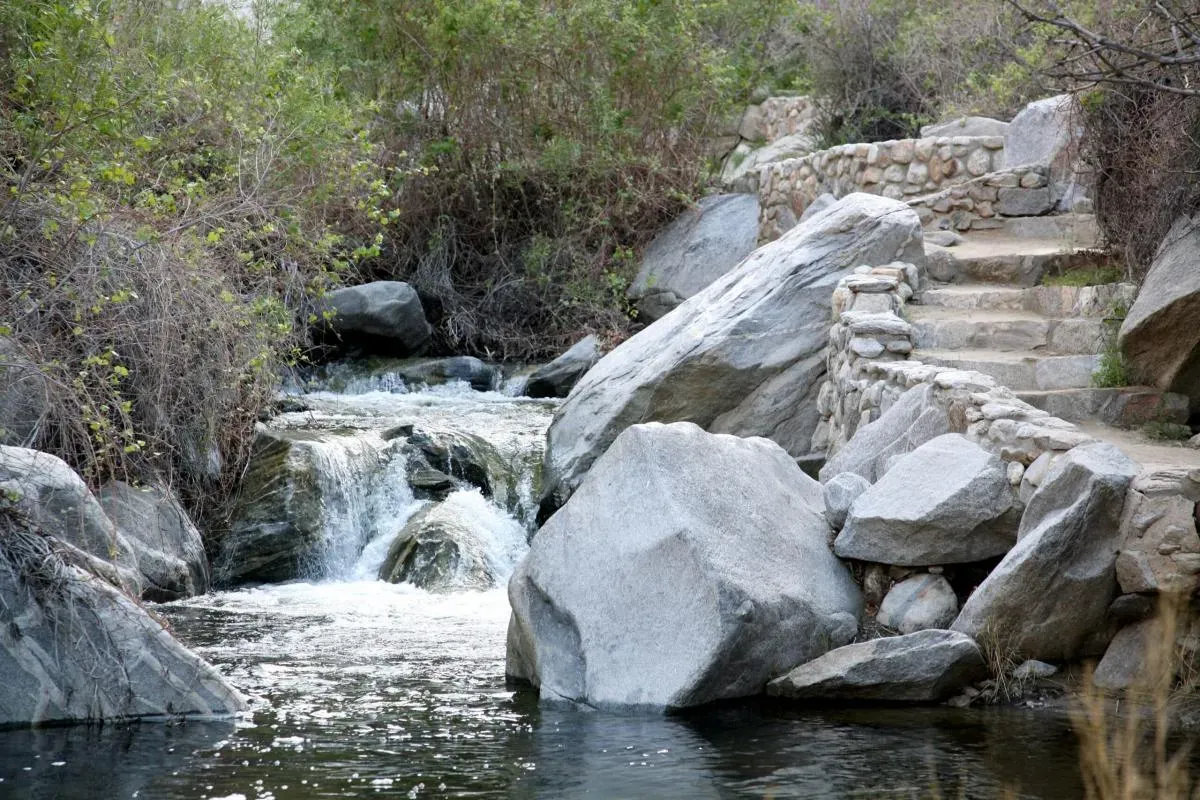 Hiking trail in Tahquitz Canyon following a desert stream with palm trees and canyon walls