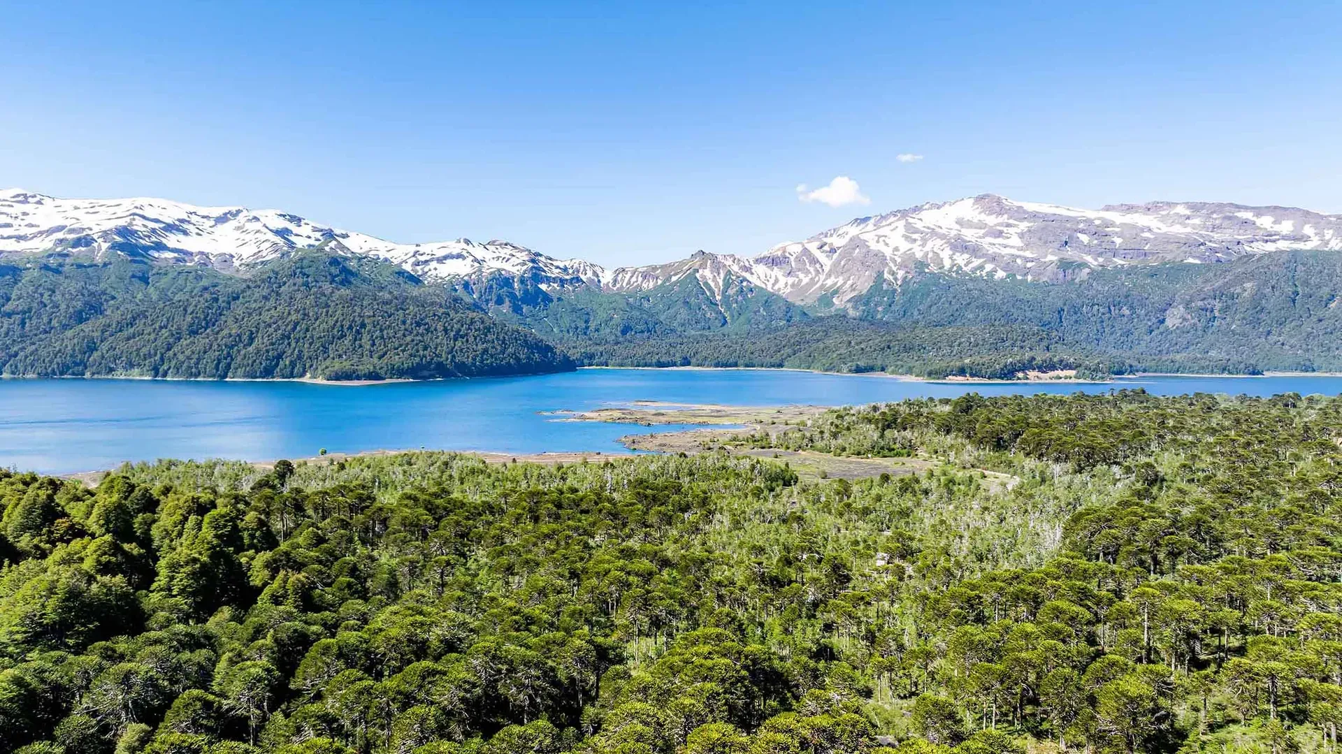 Sierra Nevada volcano and snow-capped mountains reflected in a serene blue lake in Conguillío National Park Chile