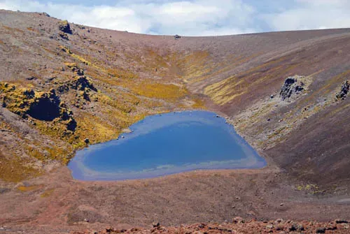 Small crater lake in volcanic terrain at the summit of Queen Mary's Peak on Tristan da Cunha