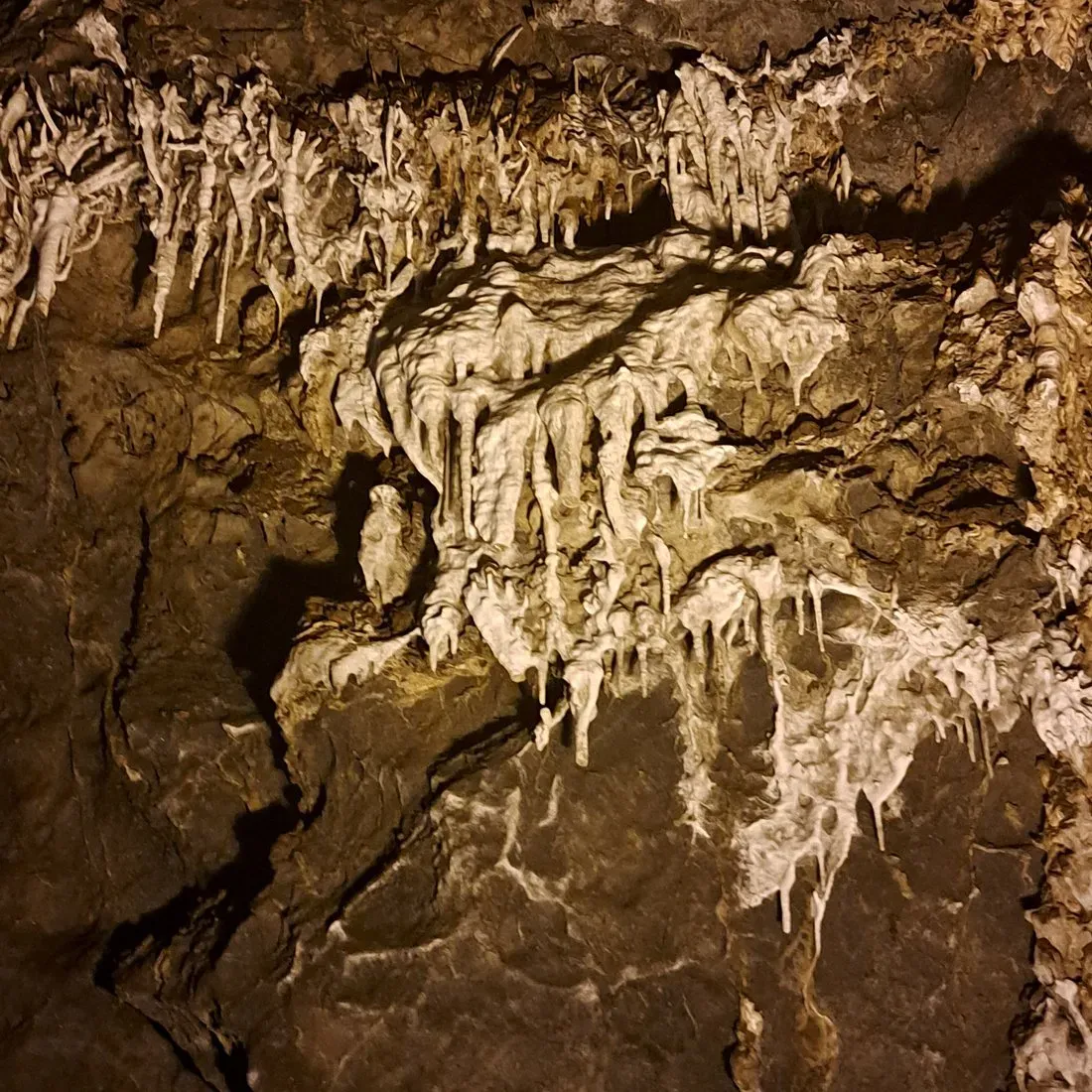 Stalactites and stalagmites formations inside Grutas de Nombre de Dios Chihuahua illuminated in warm golden light