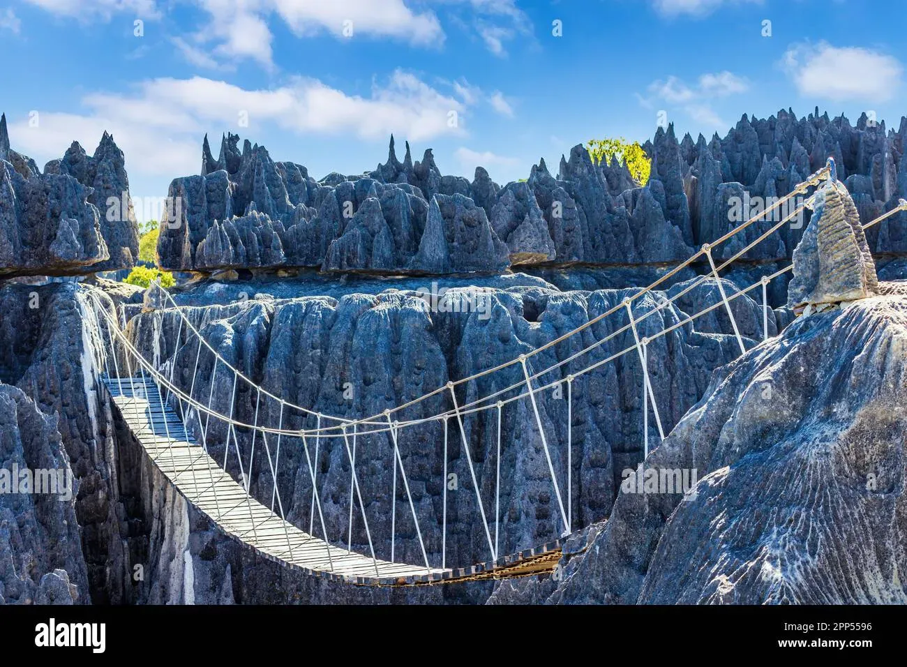 Suspension bridge crossing over deep canyon in Tsingy de Bemaraha National Park Madagascar
