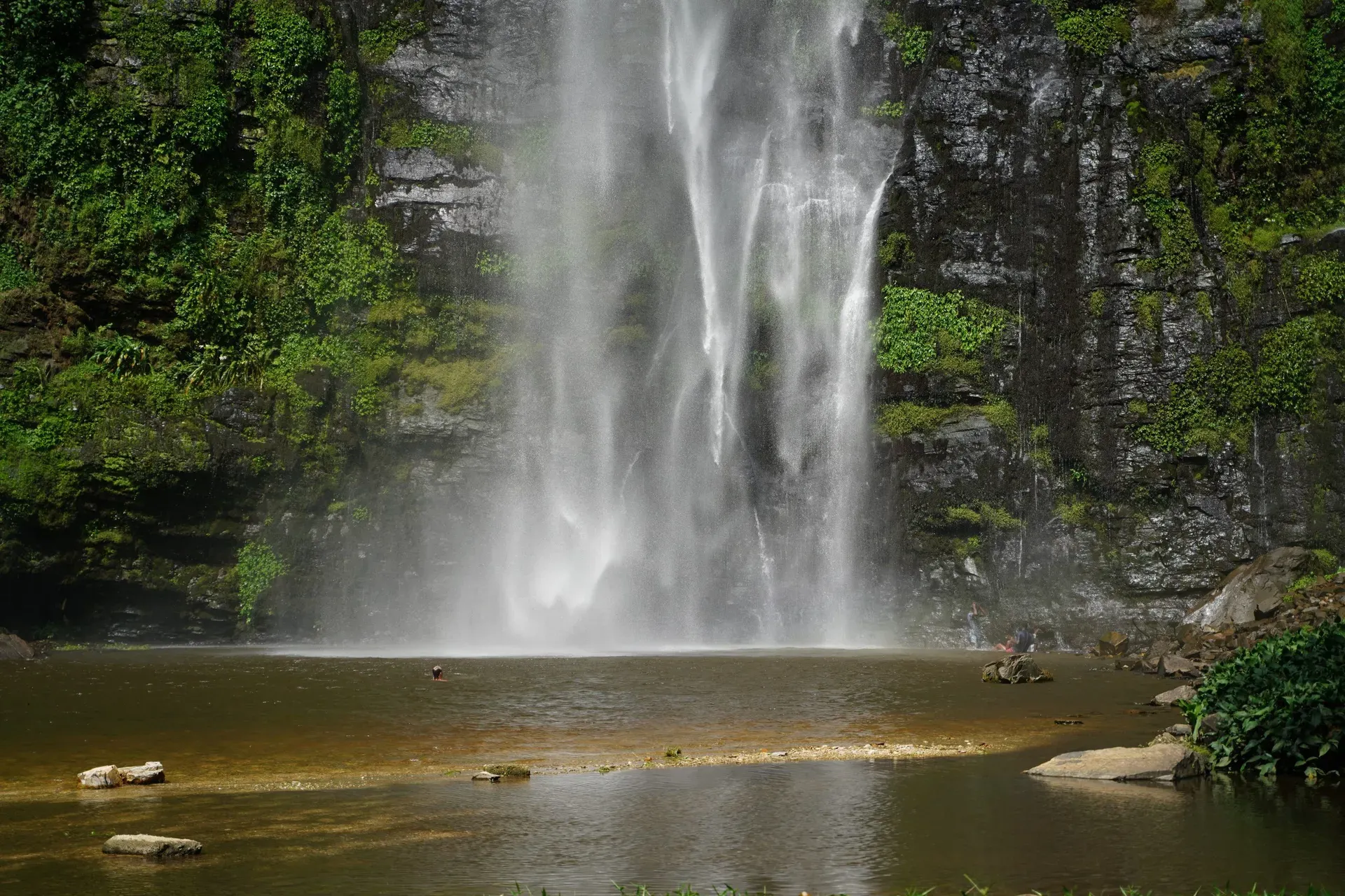 Tall narrow Wli waterfall cascading down lush mountain