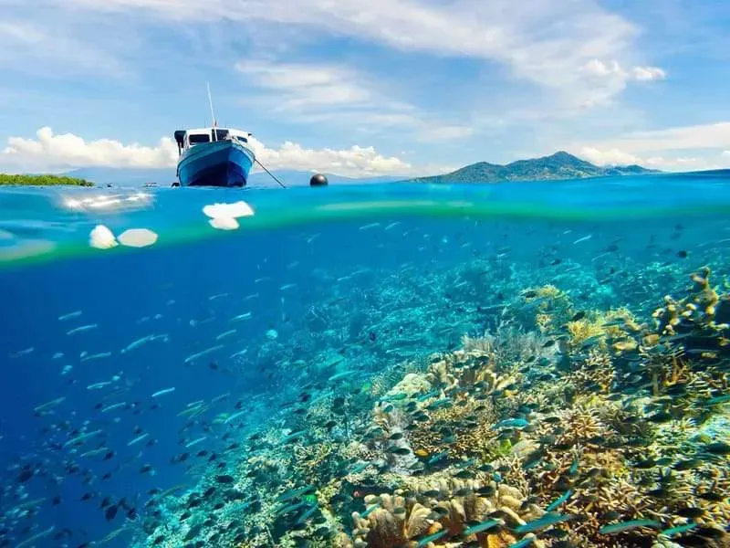 Traditional wooden boat floating above coral reefs with colorful fish in Bunaken National Park Indonesia clear waters