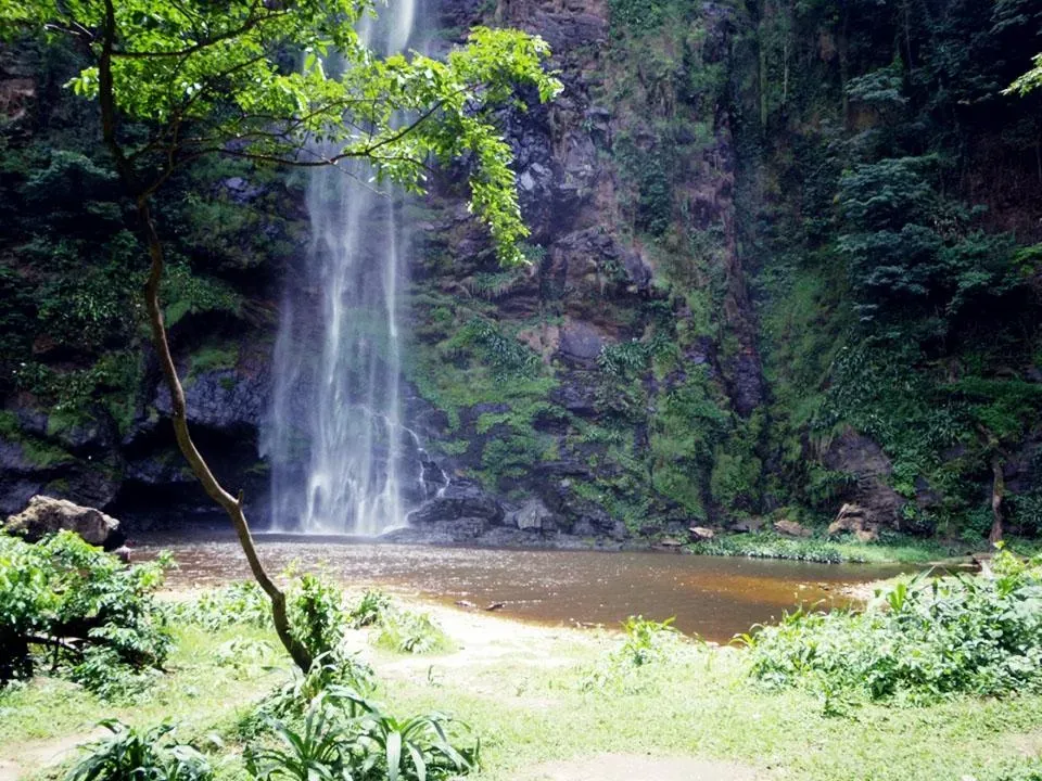 Upper Wli waterfall cascading through dense rainforest