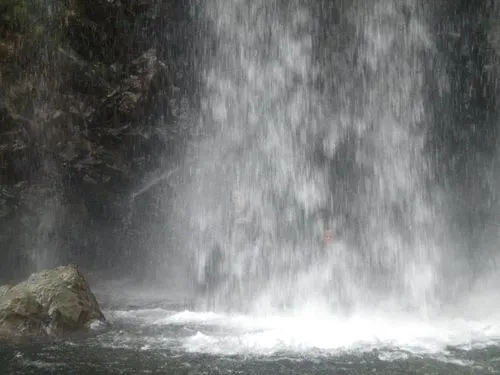 View from behind the waterfall looking through the water curtain at surrounding forest