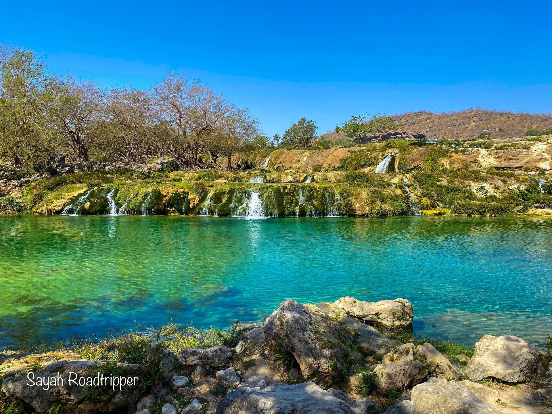 Wadi Darbat waterfall spilling over moss-covered rocks into a clear turquoise pool